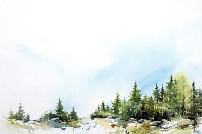 Akvarell till bokomslag för boken "En nykomling i skogen". Författare Matts Lindbladh och illustration Elisabeth Biström