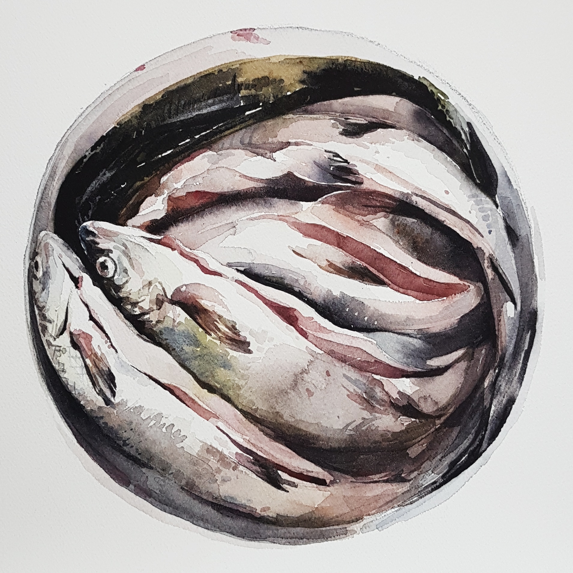 Akvarellmålning, fem fiskar i en hink