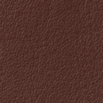 Chestnut #8697