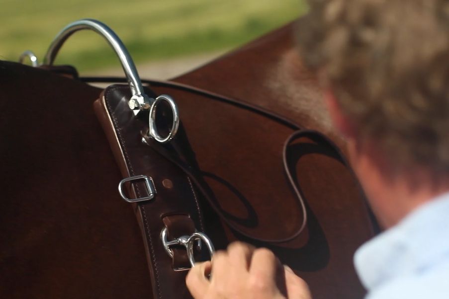 Long reining surcingle A.E. - Image 3