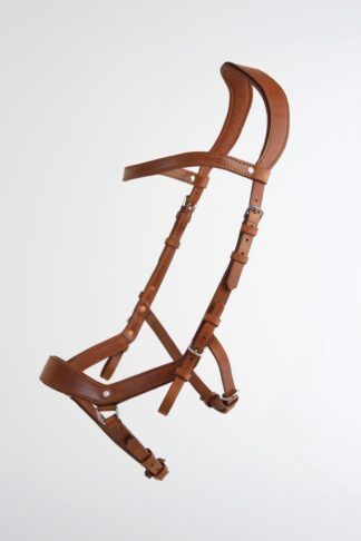 Bridle Contest