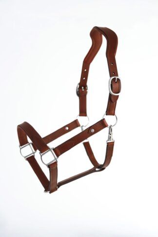 Halter Travel