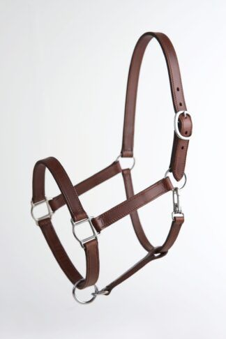 Halter Tradition