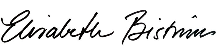 Header Elisabeth Biström