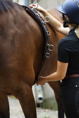 Long Reining