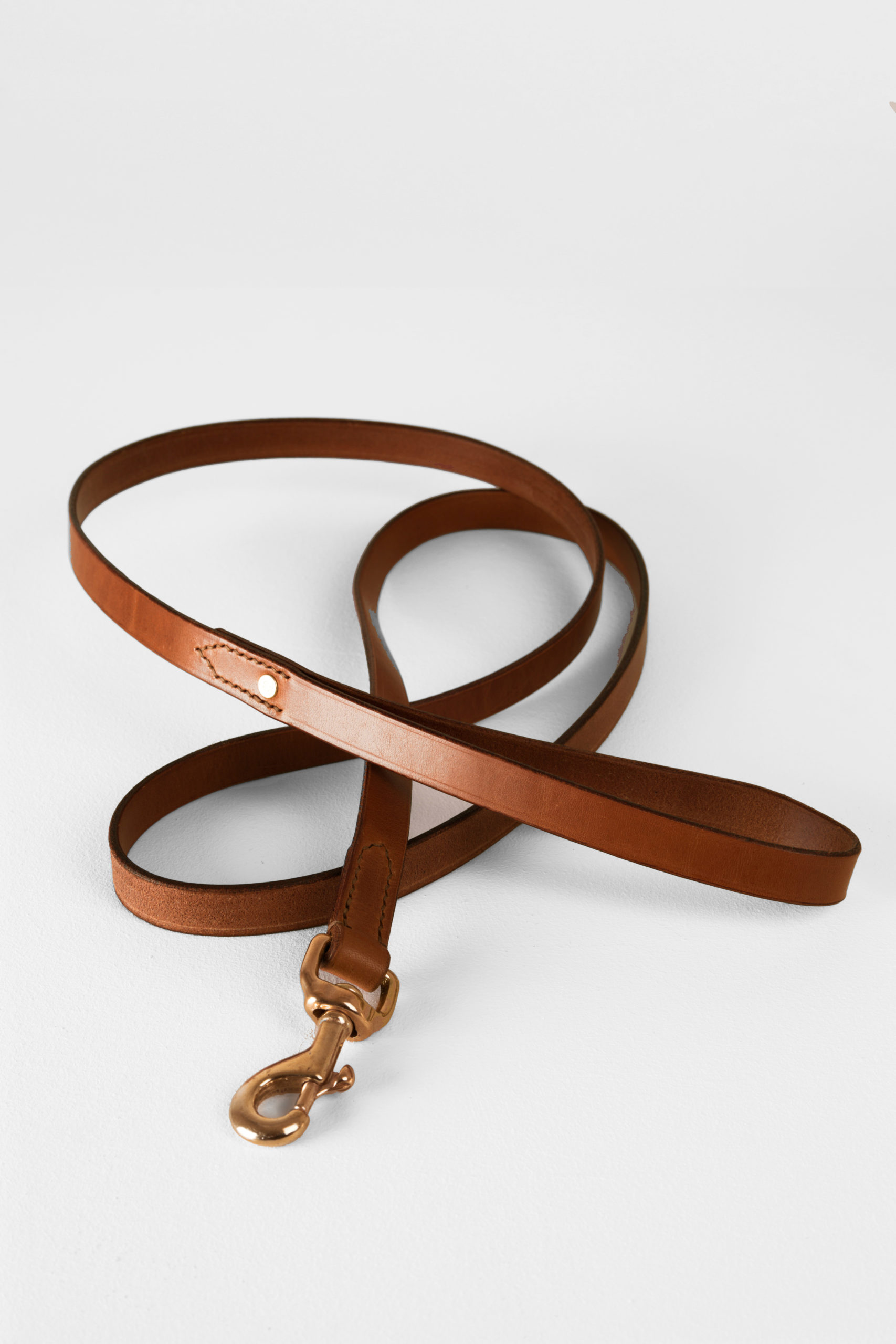 Dog Leash Leather