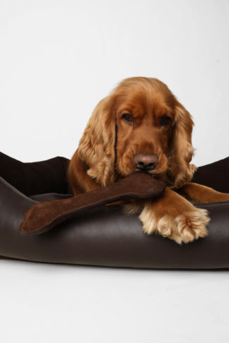Dog Toy