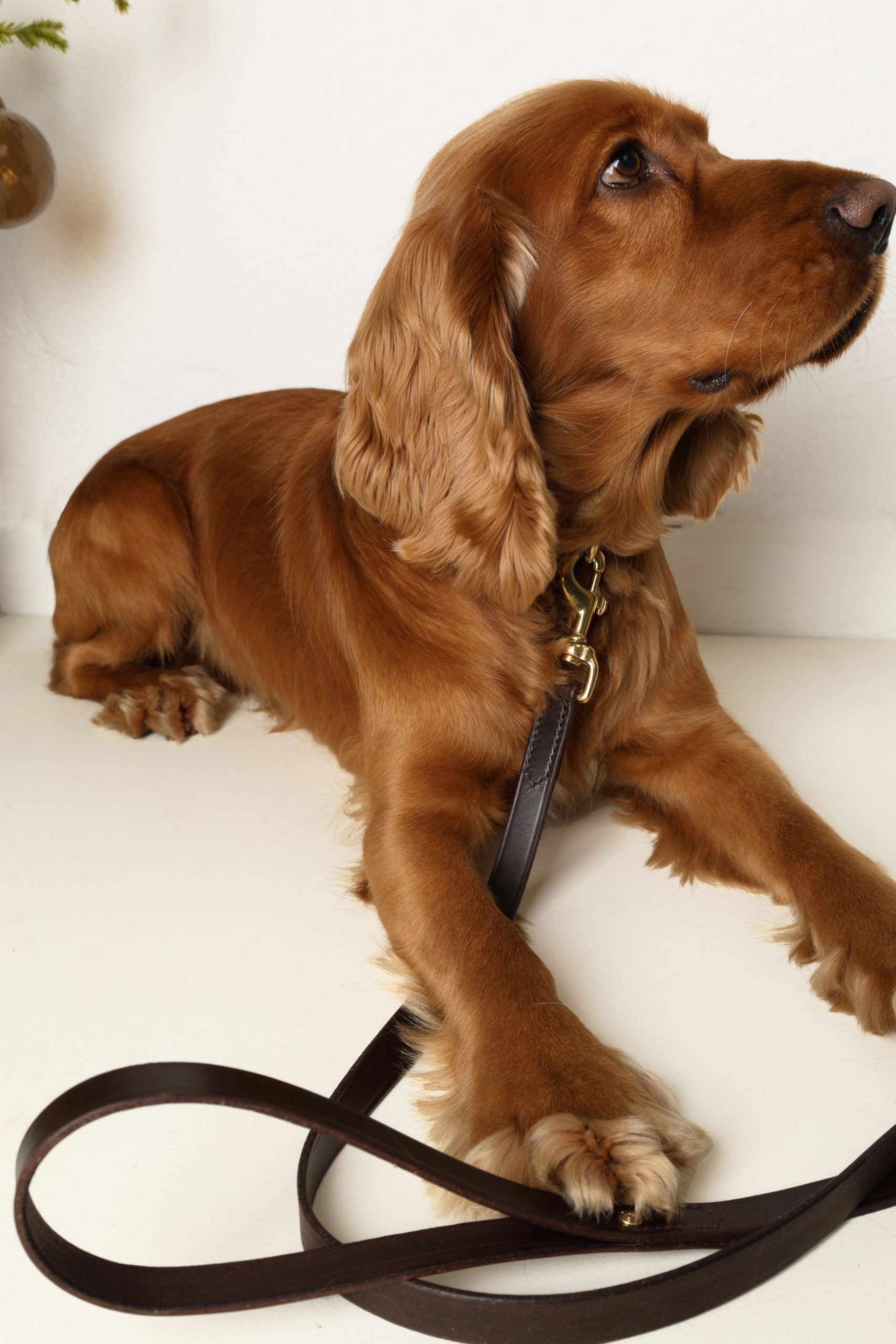 Dog Leash Leather - Image 2