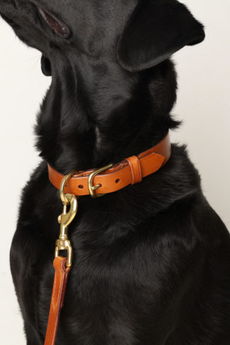 Dog Collar Leather