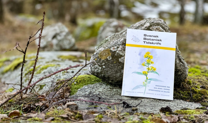 Svensk Botanisk Tidskrift, omslagsillustration Elisabeth Biström