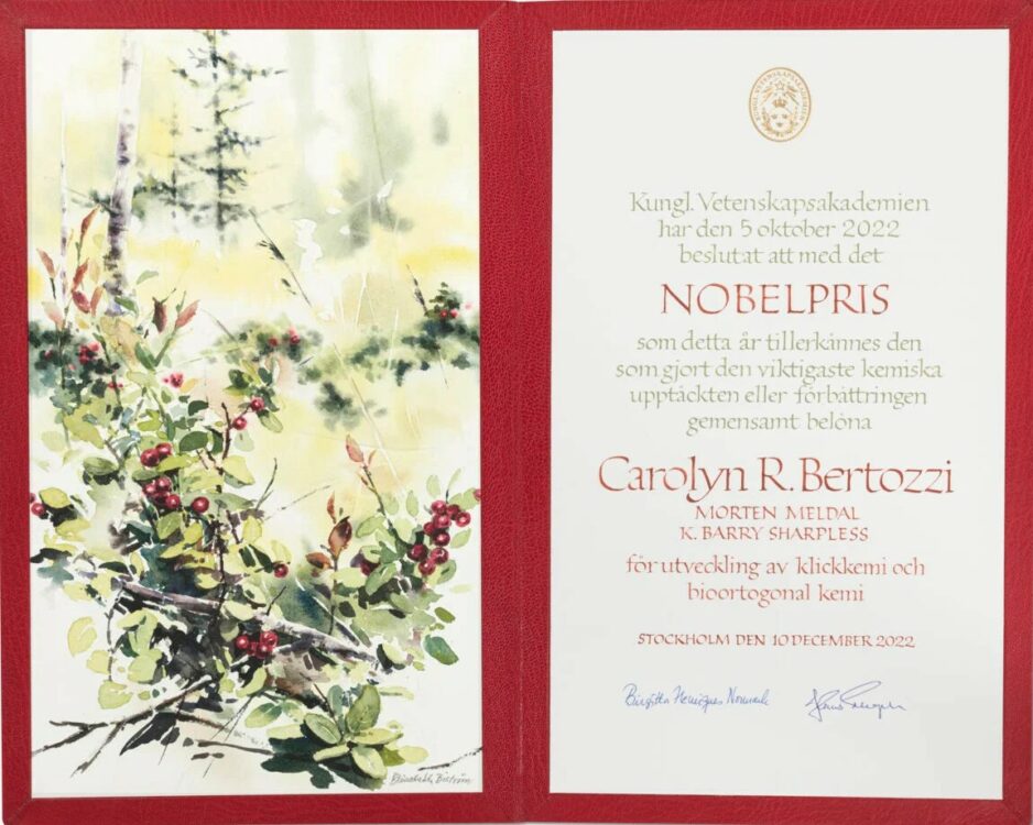 Nobel diploma for chemistry laureate Carolyn Bertozzi with artwork from Elisabeth Biström