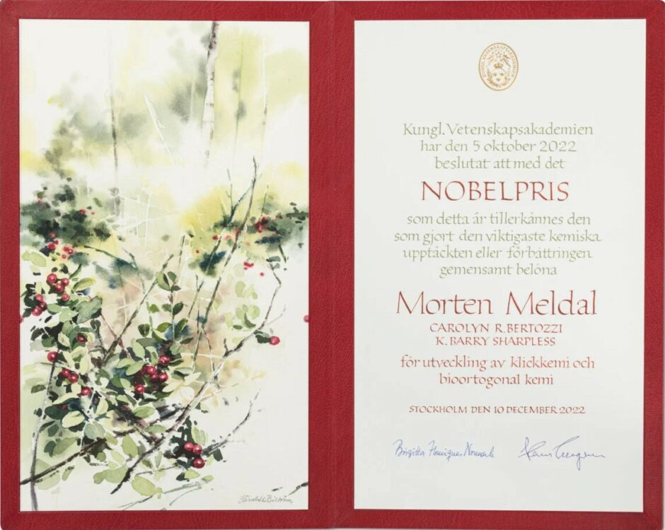 Nobel diploma for chemistry laureate Morten Meldal with artwork from Elisabeth Biström