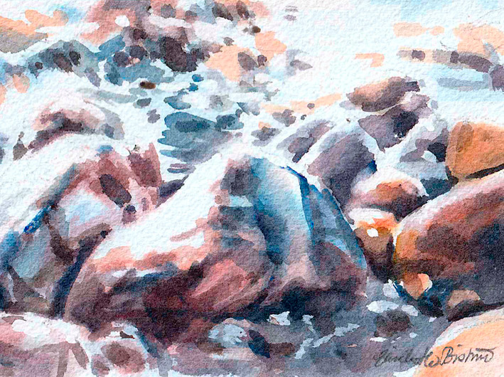 "Skimmer", akvarell Elisabeth Biström