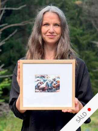 Akvarell av Elisabeth Biström